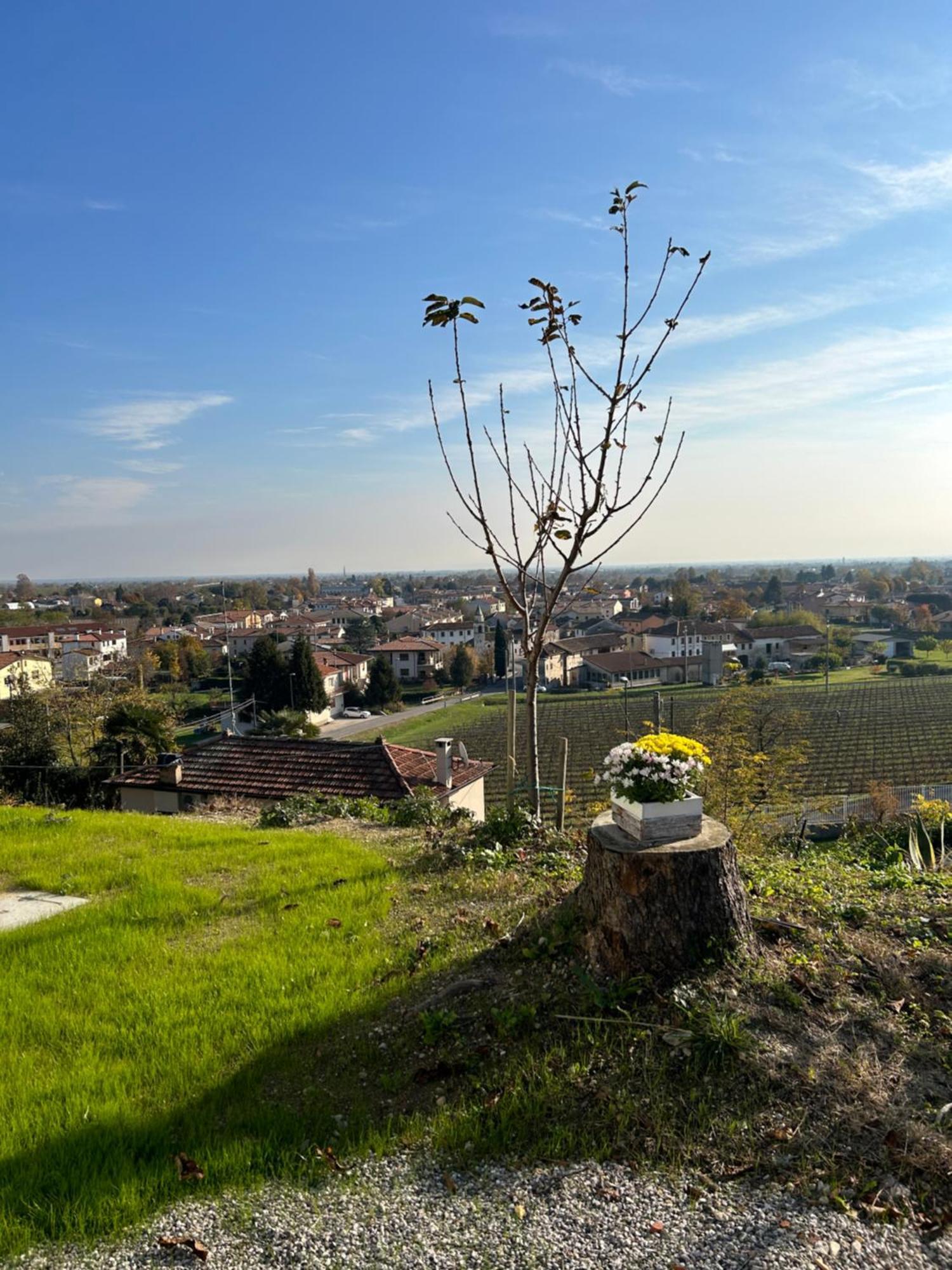 San Martino  B&B San Martino מראה חיצוני תמונה